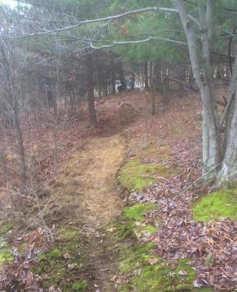 This is one of the hand-built singletrack trails featured on the ride.