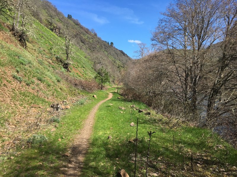 The singletrack, although flat and simple, is pretty legit for a rail-trail.