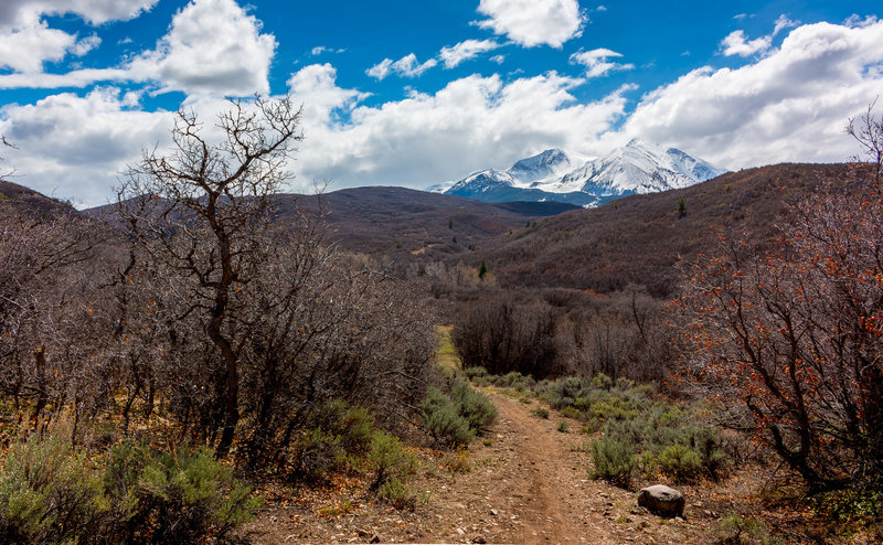 Enjoy awesome views from Monte Carlo on the Prince Creek Quickie loop.