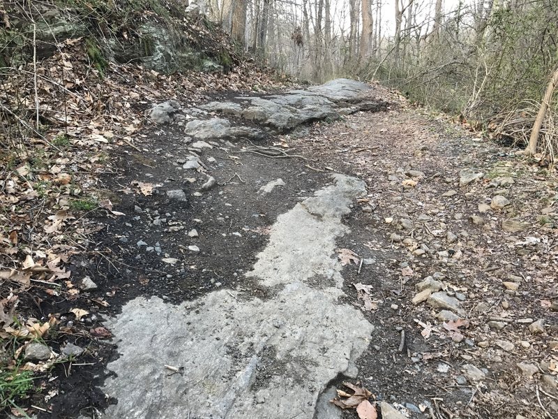 You'll have to climb up this short section of rock during the initial stretch of Rocky Run.