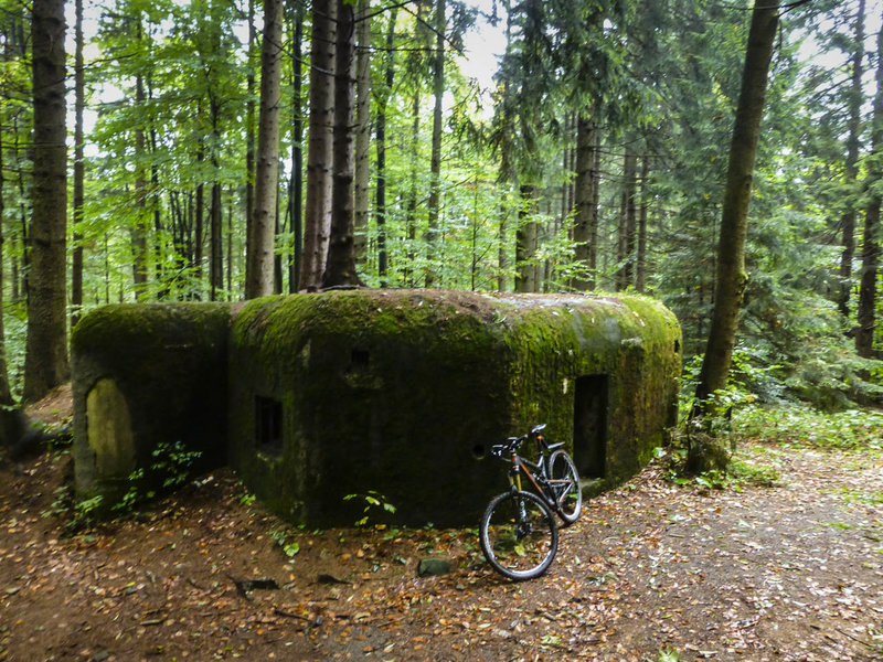 The moss is slowly reclaiming a fortification near the Czech-German border found along the trail.