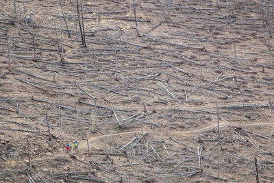 A pair rides through an old wildfire burn area on the Walker Ranch Link Trail.