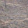 A pair rides through an old wildfire burn area on the Walker Ranch Link Trail.