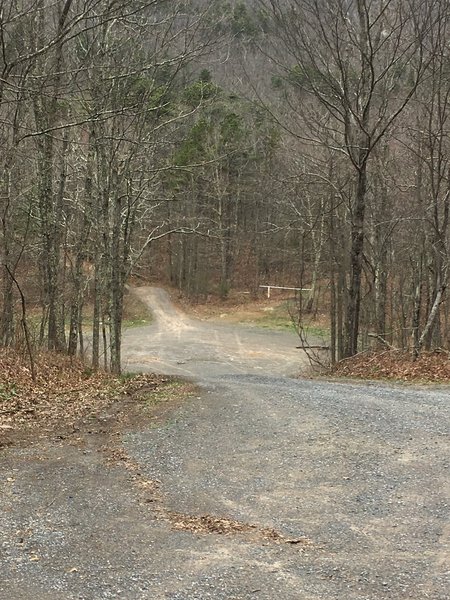 After making the first left turn, continue up the open jeep road (no gate).