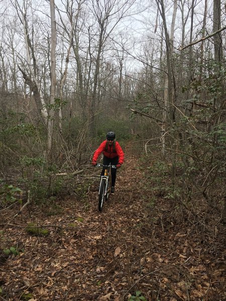 The backcountry singletrack of the Dry Run Trail is hard to beat!