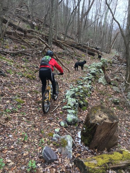 Old rock benches dot the upper section of the Dry Fork Trail.