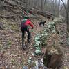 Old rock benches dot the upper section of the Dry Fork Trail.