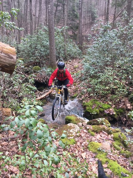 This is the second creek crossing on the Dry Fork Trail.