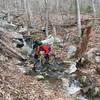 You'll have to cross numerous creeks on the Dry Run Trail.