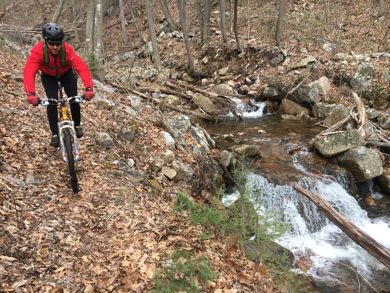 Riding along the creek makes for some beautiful scenery.