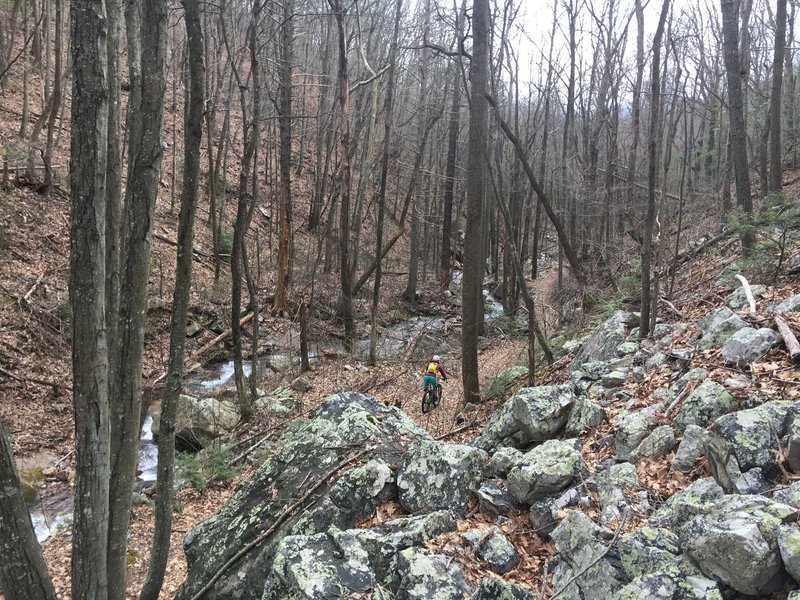 Paralleling the Dry Run Trail, it turns out it's not so dry...