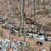 The trail follows along Dry Run as it makes its way through the national forest.