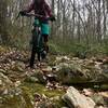 Rock gardens abound on lower Dry Fork Trail.