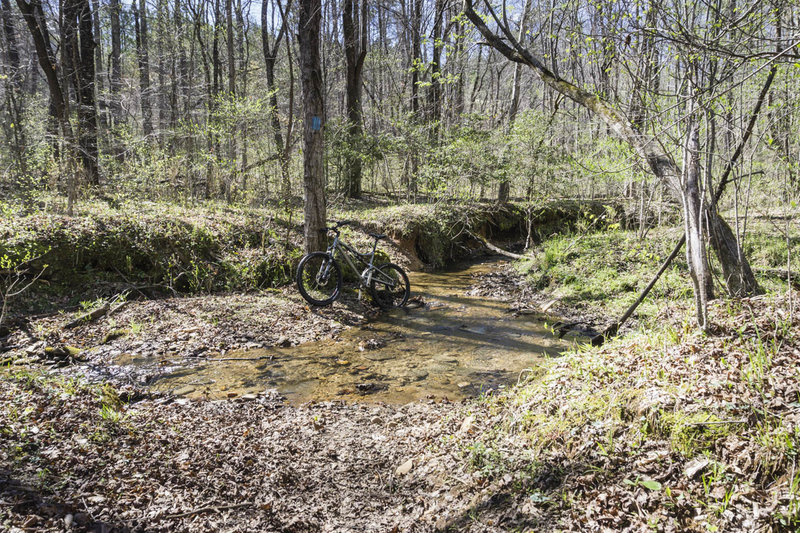 One of the many creek crossings on the Blue Trail in Dawson Forest.