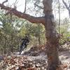 Robert navigates a turn along the tree line.