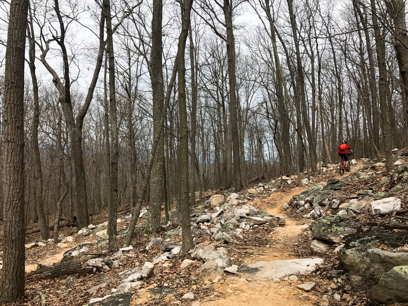 A quintessential look at typical trail conditions on 4000 Hours.