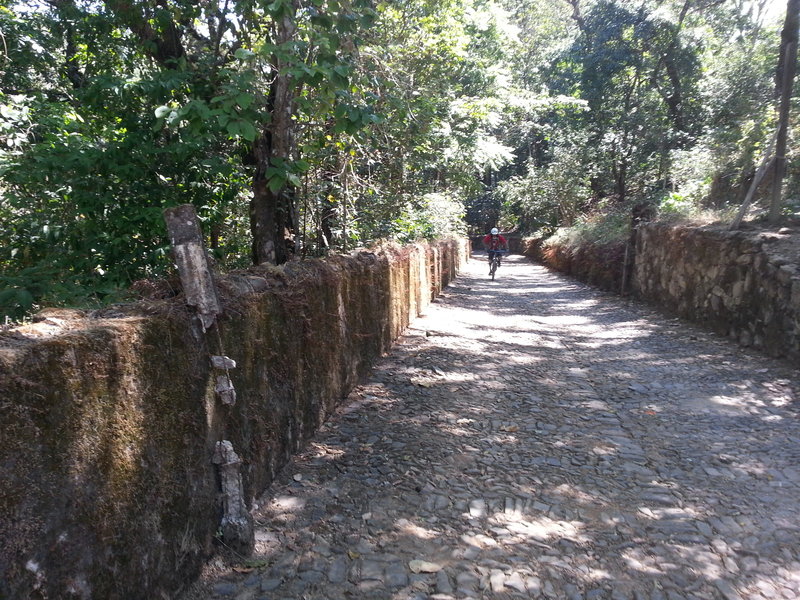 Rojelio pedals the cobblestone up to the Hacienda Jalisco.