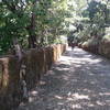 Rojelio pedals the cobblestone up to the Hacienda Jalisco.