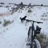 Fat bike fun on Ridgeline!