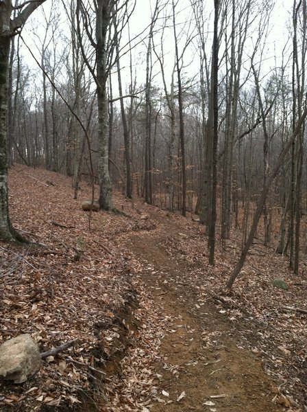 The well benched-cutting on the upper section makes for a smooth ride.