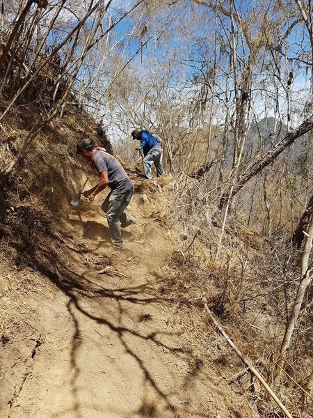 Cutting in a nice new section of trail.