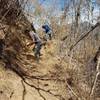 Cutting in a nice new section of trail.