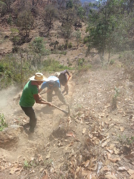 A hard working crew putting in the new trail.