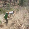 A hard working crew putting in the new trail.