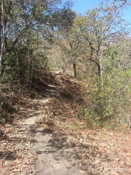 Typical scenery along the climb of Escorpion.