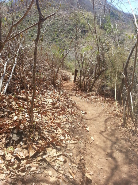 There's lots of fast singletrack and more up ahead.