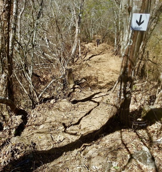 Conditions down trail are fast and rough, so pretty much perfect.