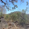 Occasional piles of boulders surround the trail.