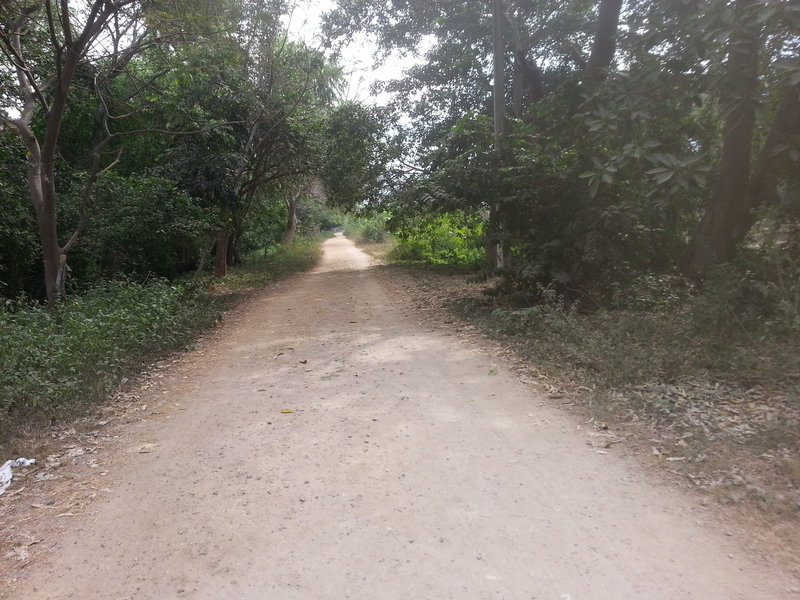 The dirt road along the Pitial River.