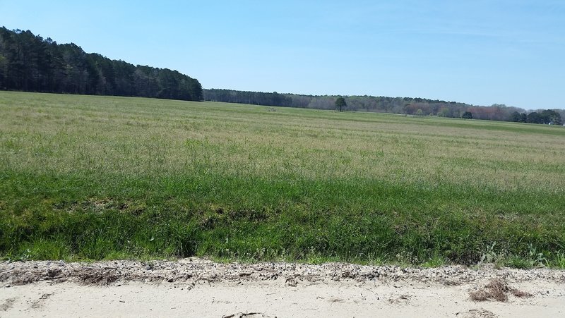 Farmland view from Corner House Rd