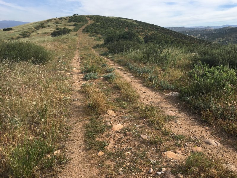 Track along the ridge up to Ramona Peak