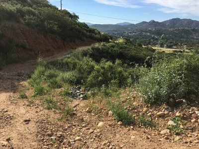Looking downhill. The views never stop being great!