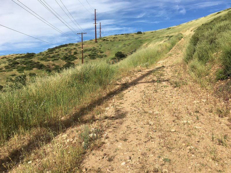 This climb is steeper than it looks and there's some loose gravel. But that's the ridge summit right up there!