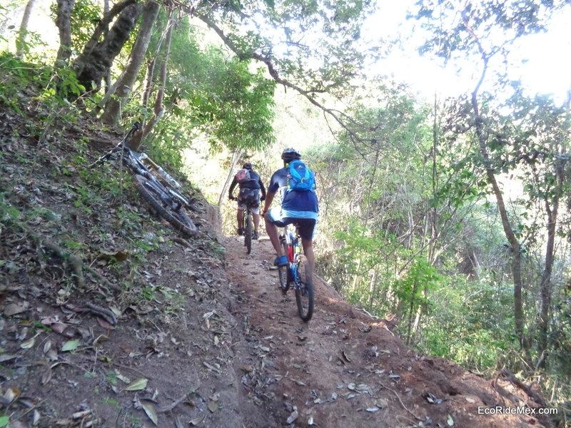 Heading up the climb on a well benched section of trail.