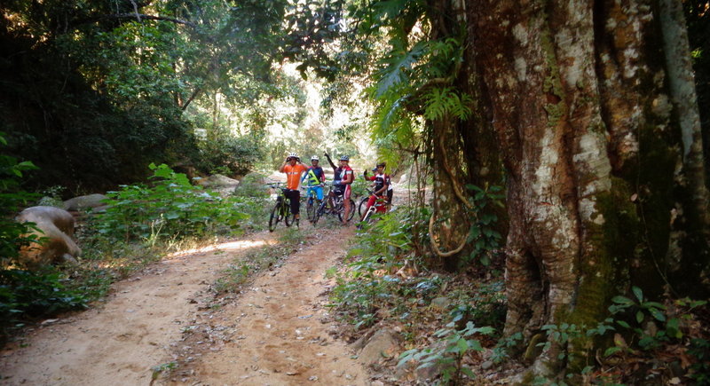 Rich jungle lines the the Veladero Pista XC.