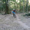 Jorge pedaling up through the forest.
