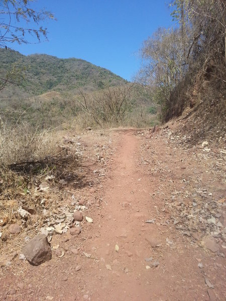 Get ready to pick up some speed on Sendero Bajar Herradura.