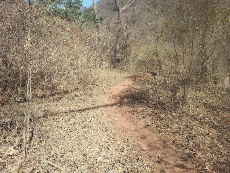 Shallow but fast berms keep things fast on Tierra Rojas (Red Earth).