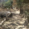 Dry season along the river.