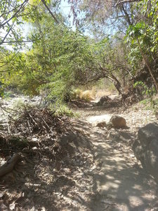 There are some obstacles near the edge of the river, but nothing to challenging.