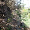 This tight and narrow section requires a lot of focus to clean all the rocks and not end up off the trail.