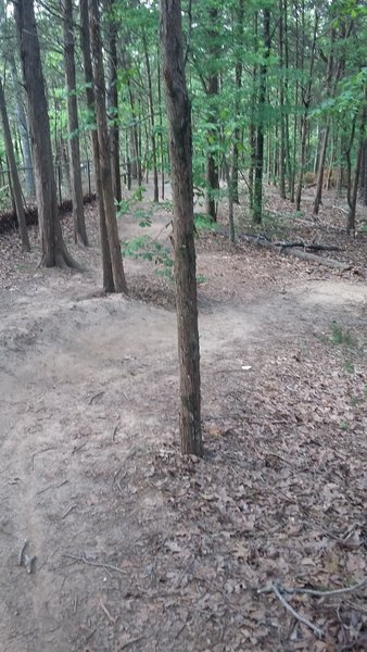 Smooth berms along the Cadron Settlement Trail.