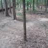 Smooth berms along the Cadron Settlement Trail.