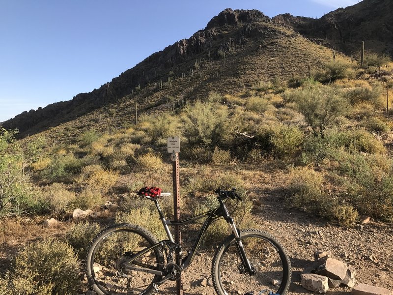 An early morning on the Windgate Pass Trail.