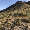 An early morning on the Windgate Pass Trail.