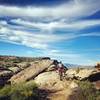 The start of the Zen Trail singletrack trail on a beautiful day!